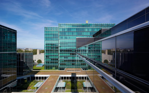 勞力士常見問題解答：您需要了解的有關增產和認證二手計劃的一切信息