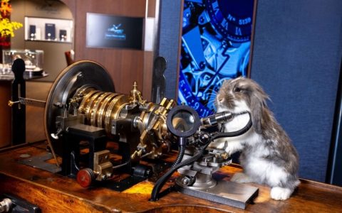 寶璣Breguet友善中環(huán)店率先成為寵物友善奢華腕表品牌